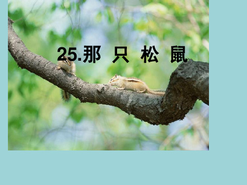 三年级下册语文课件 -25那只松鼠 湘教2011课标版(共10张PPT)