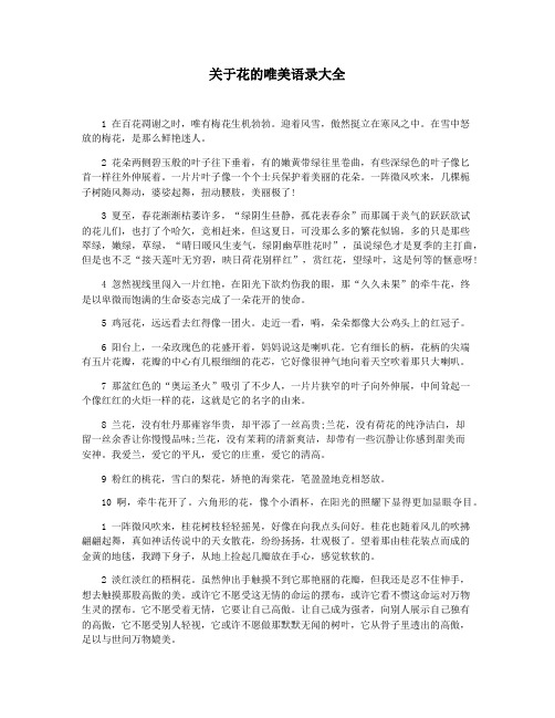 关于花的唯美语录大全