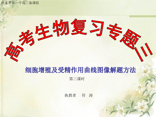 第三课时 细胞增殖及受精作用曲线图像解题方法