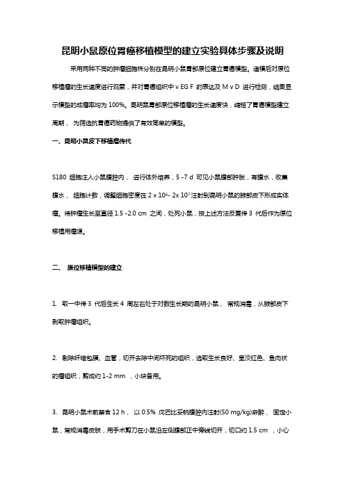 昆明小鼠原位胃癌移植模型的建立实验具体步骤及说明