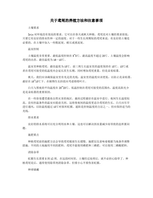 关于鸢尾的养殖方法和注意事项