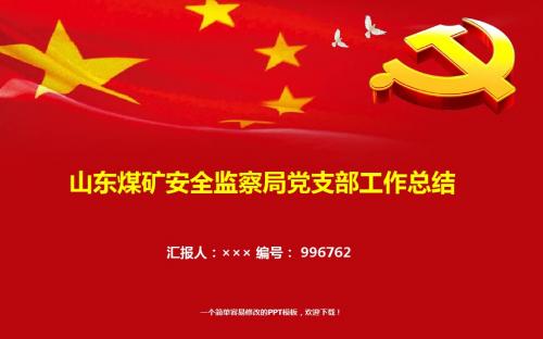 最新山东煤矿安全监察局党支部工作总结报告模板