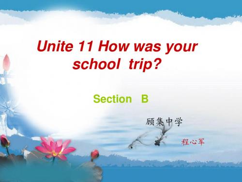 人教版英语七年级下册Unit 11 How  was your school trip ？ Section  B