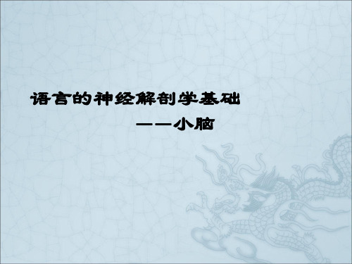《小脑》ppt课件