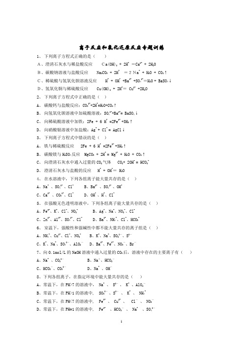 离子反应与氧化还原反应专题训练(含答案)