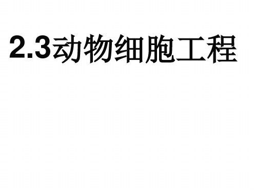 动物细胞组织培养