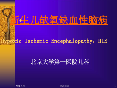 新生儿缺氧缺血性脑病.pptx