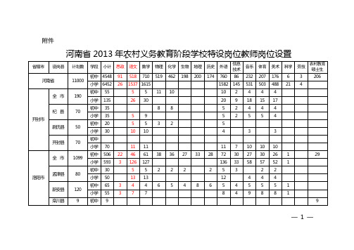 2013年河南特岗