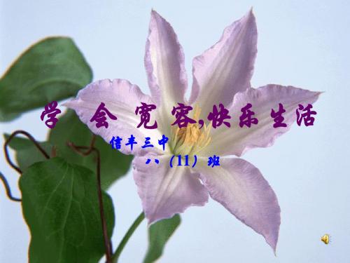 主题班会 《学会宽容_快乐生活》