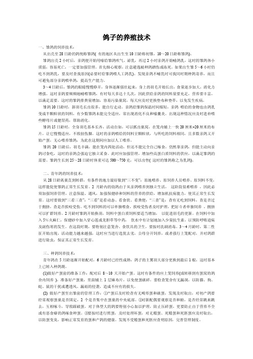鸽子养殖技术大全