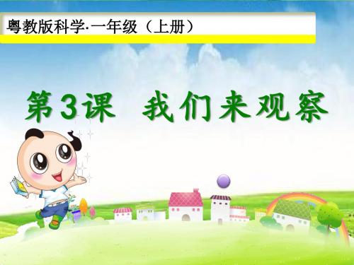 粤教版一年级科学上册3 我们来观察 课件(34张ppt)课件