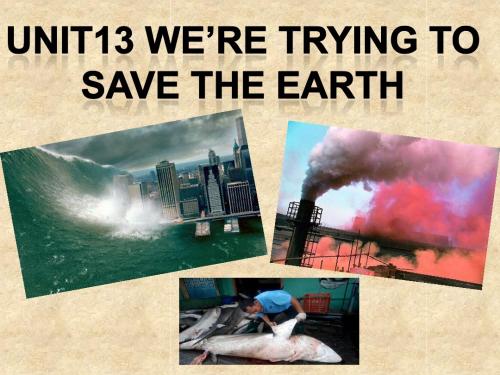 2014年人教版九年级英语Unit13 we’re trying to save the earth(1a--2d)