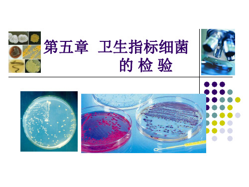 第五章卫生指标菌的检测OK
