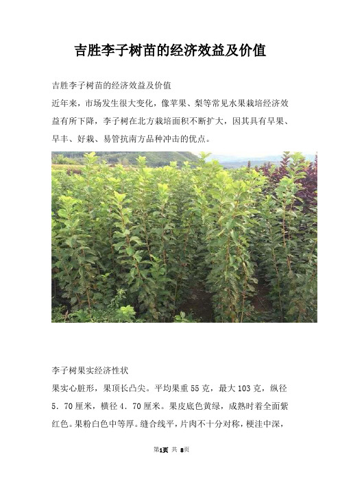 吉胜李子树苗的经济效益及价值