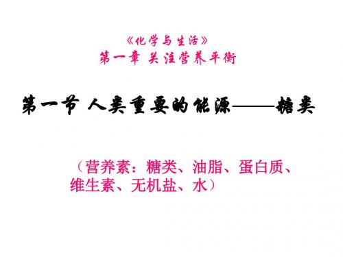 高二化学糖类课件(教学课件2019)