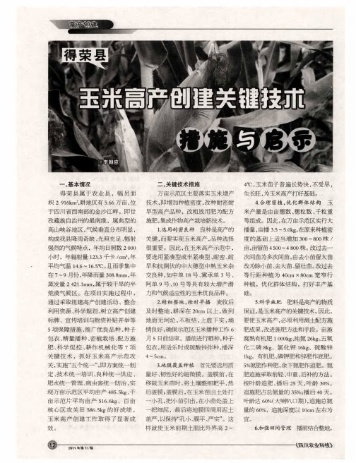 得荣县玉米高产创建关键技术措施与启示