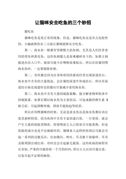 让猫咪安全吃鱼的三个妙招
