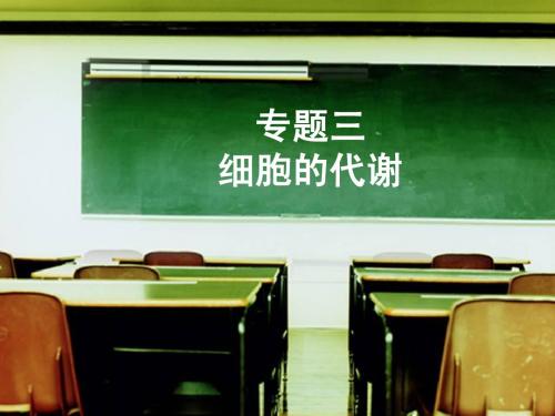 2014广东省高二生物学业水平测试(小高考)复习 专题三 细胞的代谢
