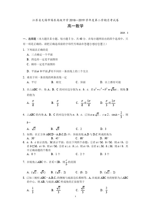 江苏省无锡市锡东高级中学2018—2019学年度第二学期高一数学月考试卷(含答案)