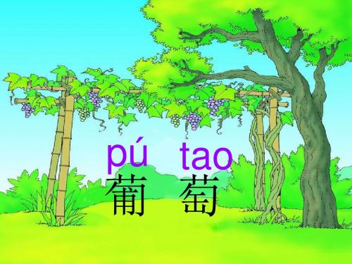 人教版语文二年级上册第四单元第五篇课文《酸的和甜的》课件