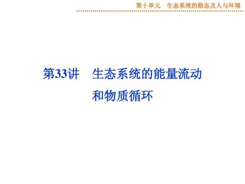 2015届《优化方案》高考生物(苏教版)一轮配套课件：第33讲 生态系统的能量流动和物质循环
