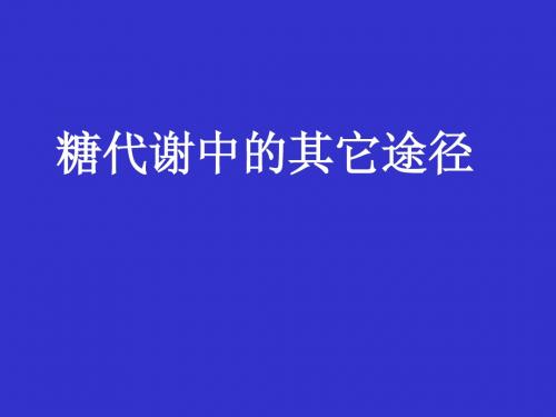 糖代谢中的其它途径