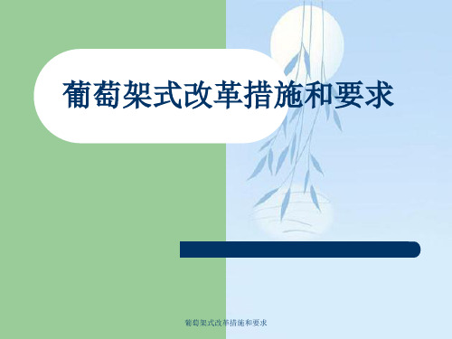 葡萄架式改革措施与要求