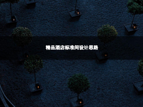 酒店标准间设计pptPPT30页