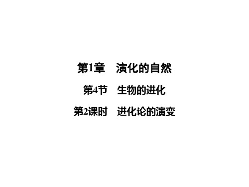 浙教版九级科学下册PPT公开课