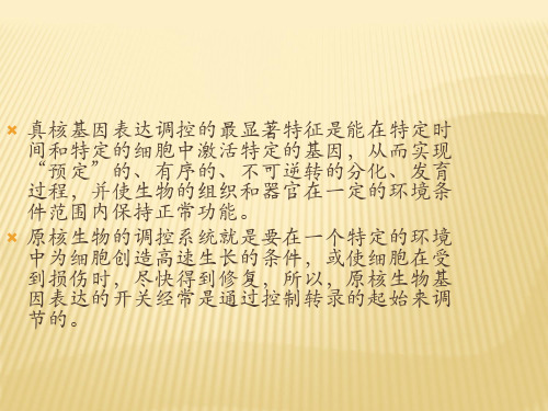 真核基因表达调控