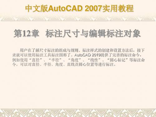 AUTOCAD2007教程标注尺寸与编辑标注对象-26页文档