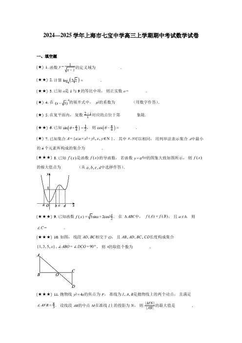 2024—2025学年上海市七宝中学高三上学期期中考试数学试卷