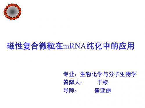 于桉-磁性复合微粒在mRNA纯化中的应用(西北大学硕士学位答辩PPT)2007.6