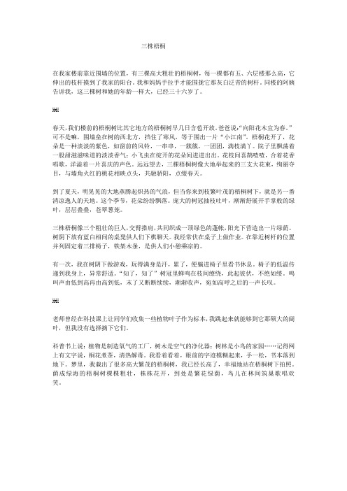 三株梧桐