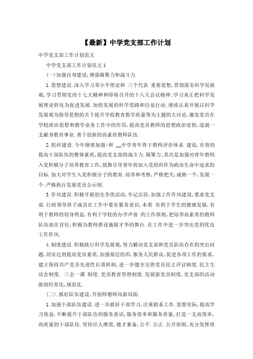 中学党支部工作计划