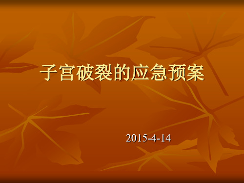 子宫破裂的应急预案 演示文稿