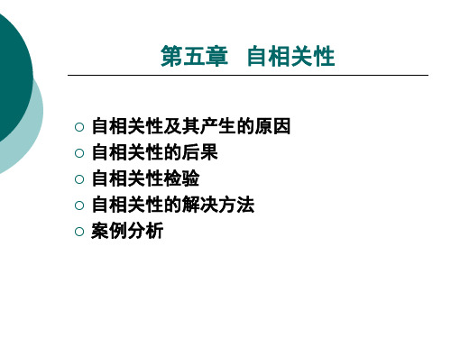 第五章 自相关性