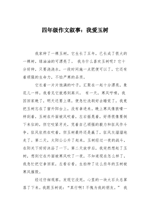 四年级作文叙事：我爱玉树