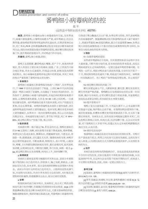 番鸭细小病毒病的防控