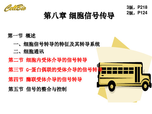 第8章 信号传导