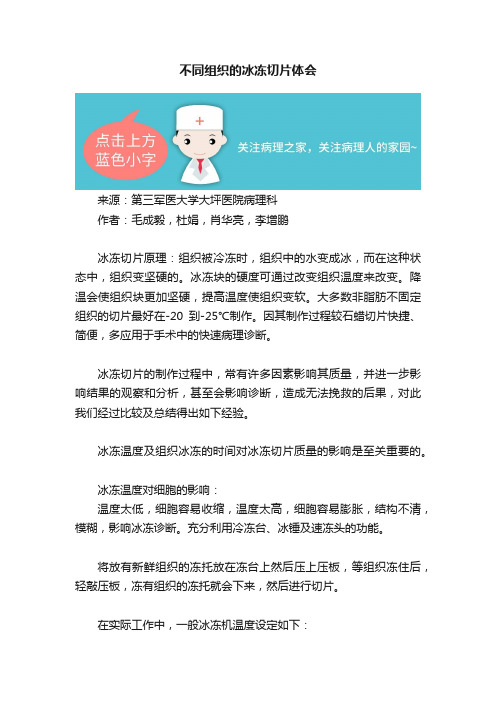 不同组织的冰冻切片体会