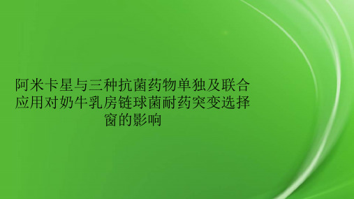 阿米卡星与三种抗菌药物单独及联合应用对奶牛乳房链球菌耐药突变选择窗的影响
