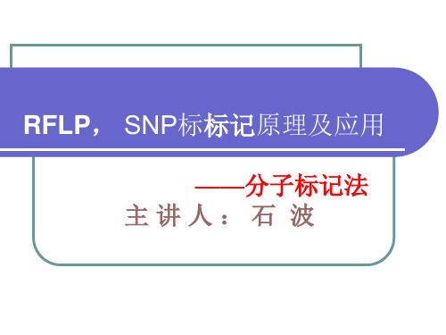RFLP,SNP标记