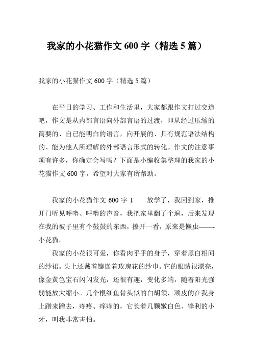我家的小花猫作文600字(精选5篇)