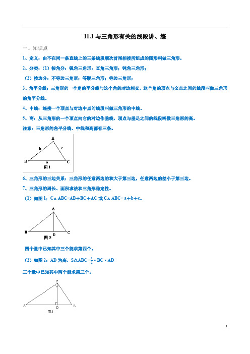 2019-2020学年八年级上学期数学专题11.1 与三角形有关的线段讲、练(解析版)