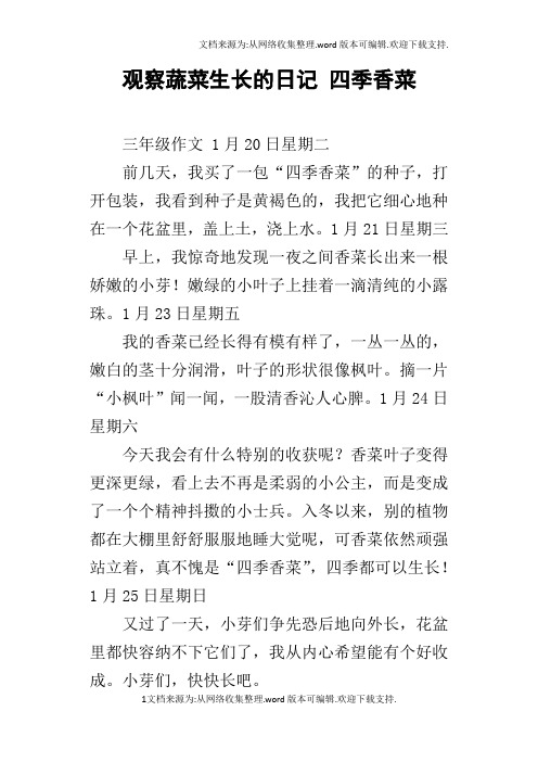 观察蔬菜生长的日记四季香菜