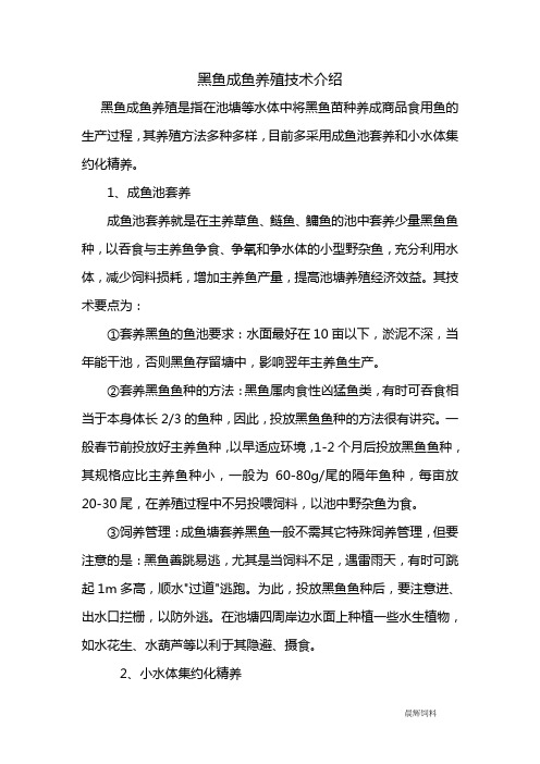 黑鱼成鱼养殖技术介绍