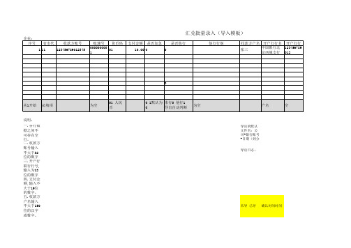 农行网银模板-批量汇兑