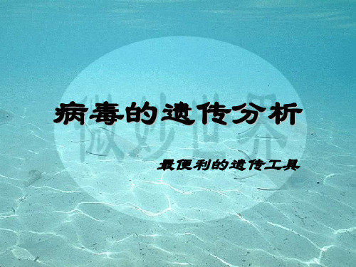 噬菌体遗传学