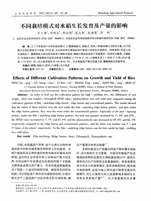 不同栽培模式对水稻生长发育及产量的影响